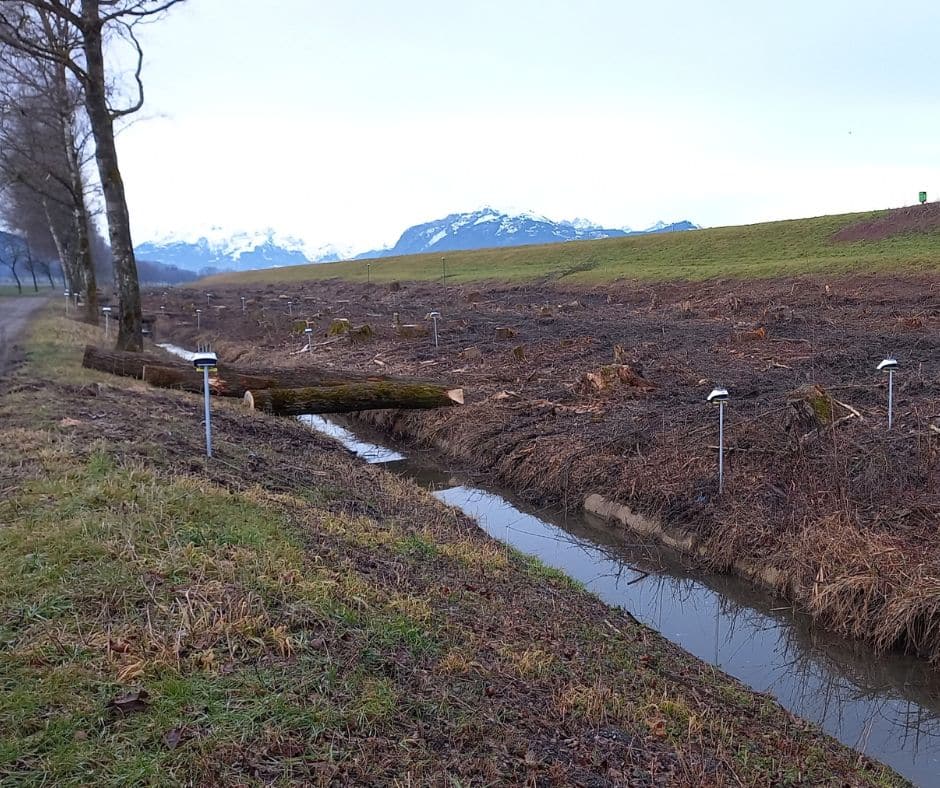 RHESI levee monitoring setup with numerous Basetime Locator One devices installed along the Alpine Rhine Valley levees for early risk detection, 2025.